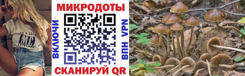 Галлюциногенные грибы ЛСД  Алдан 