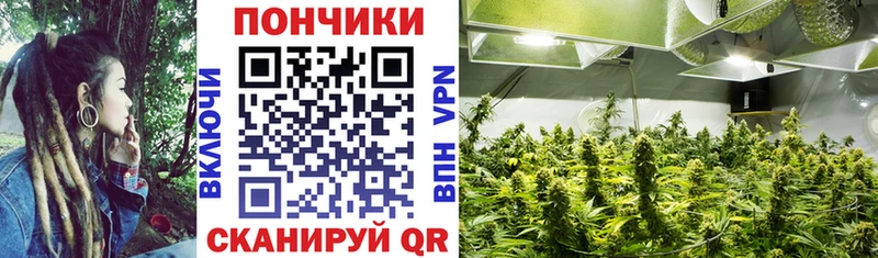цены наркотик  Алдан  Бошки Шишки марихуана 